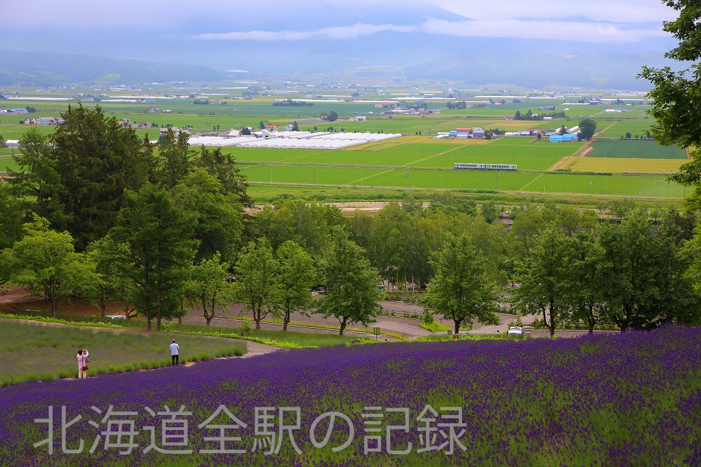 ラベンダー畑駅